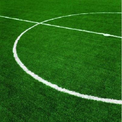 картинка Спортивный рулонный газон от магазина Gazon-ka